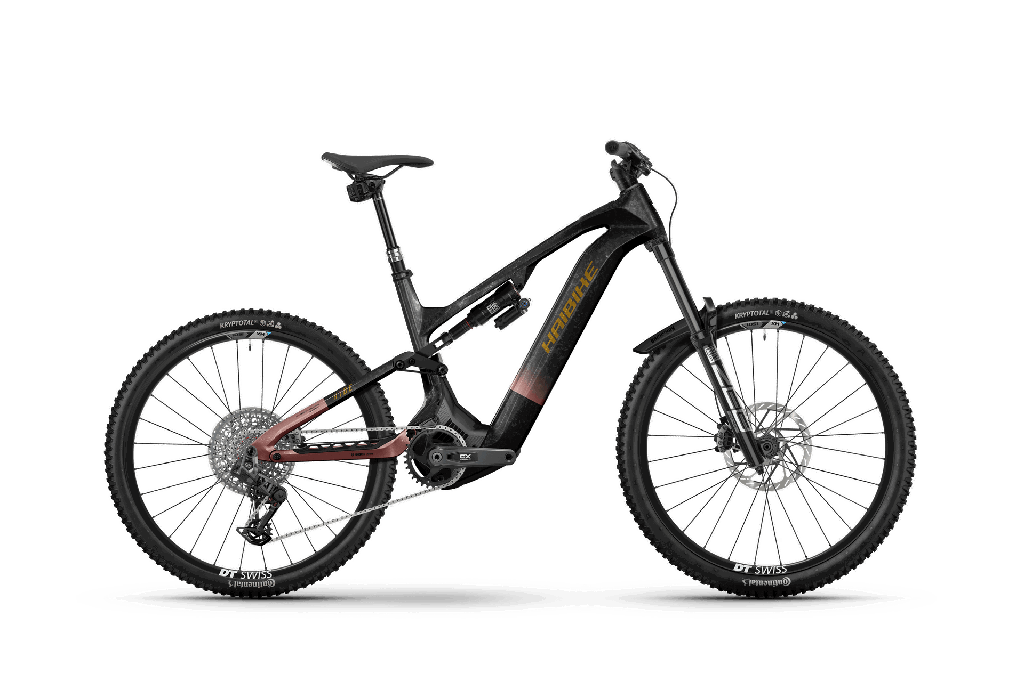 Haibike Hybe CF 11